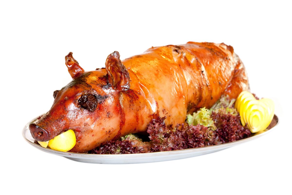 Roast suckling pig with crisp golden skin on a platter