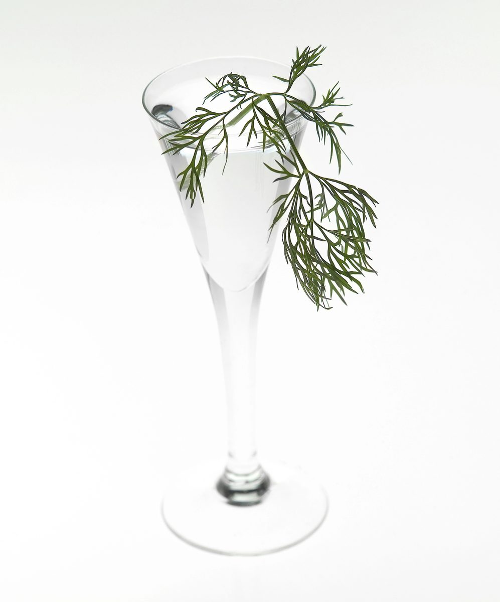 Glass of aquavit with a sprig of dill