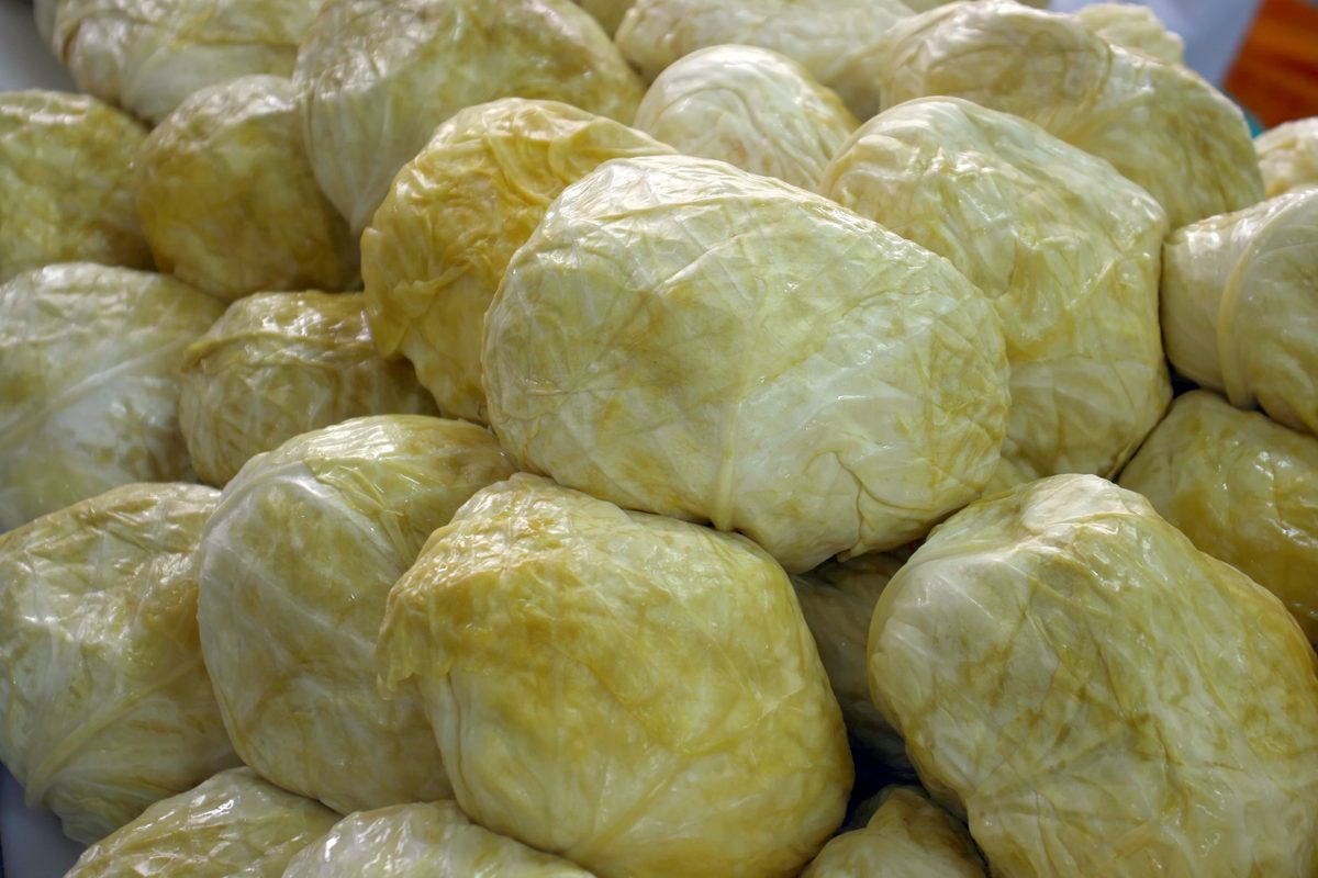 Whole heads of fermented sour cabbage